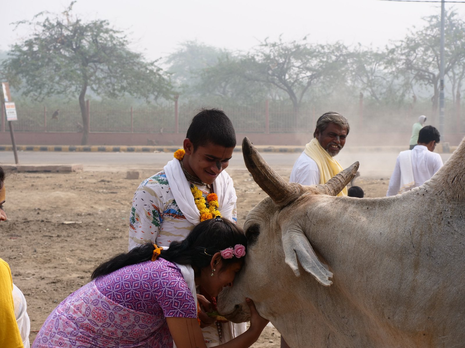  201 Gopashtami Radha kunda Govardhan 19.11.04